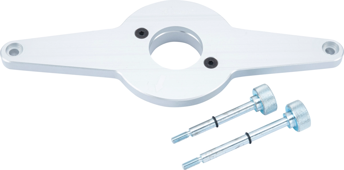 Holding Plate, with fastening srews