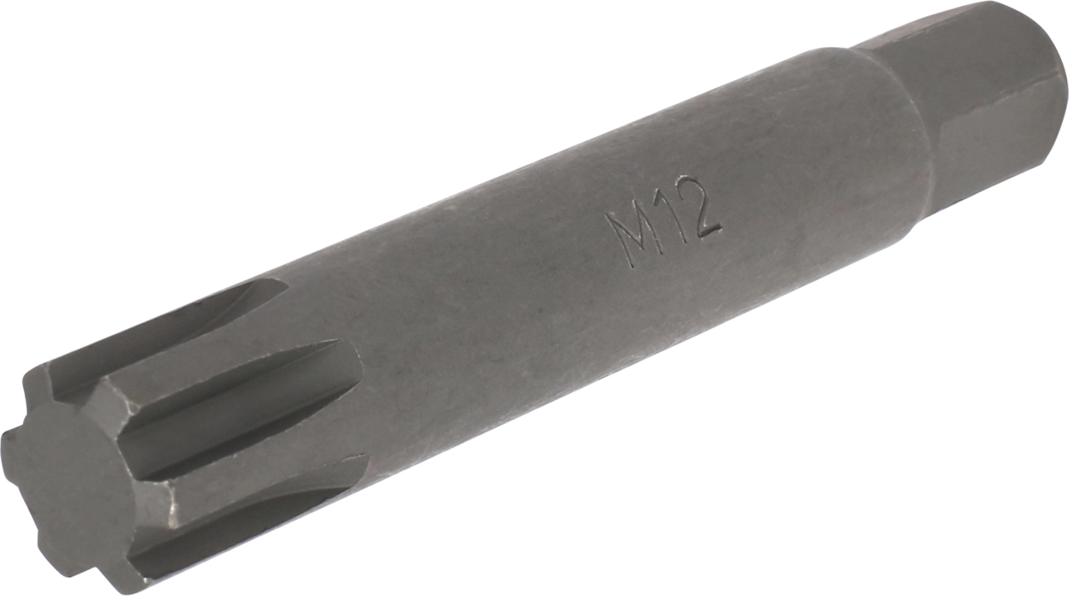 Inserto esagono 10 mm profilo Ribe M12x75 mm