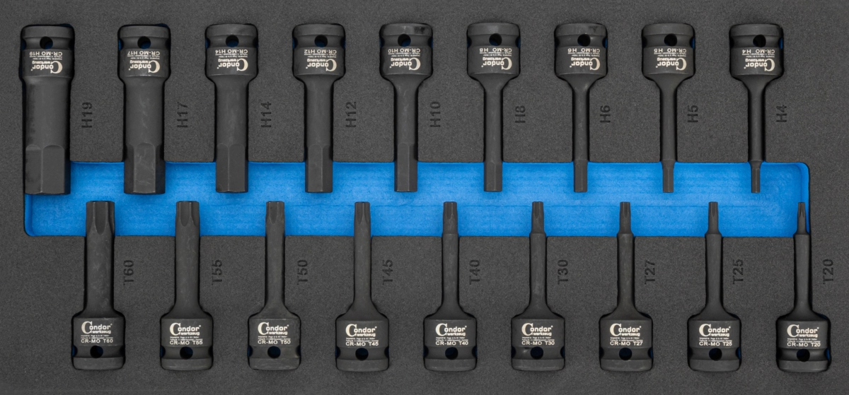 Bussole esag. e Torx, 18 pz, in supporto mat. espanso form 1/3, 1/2"