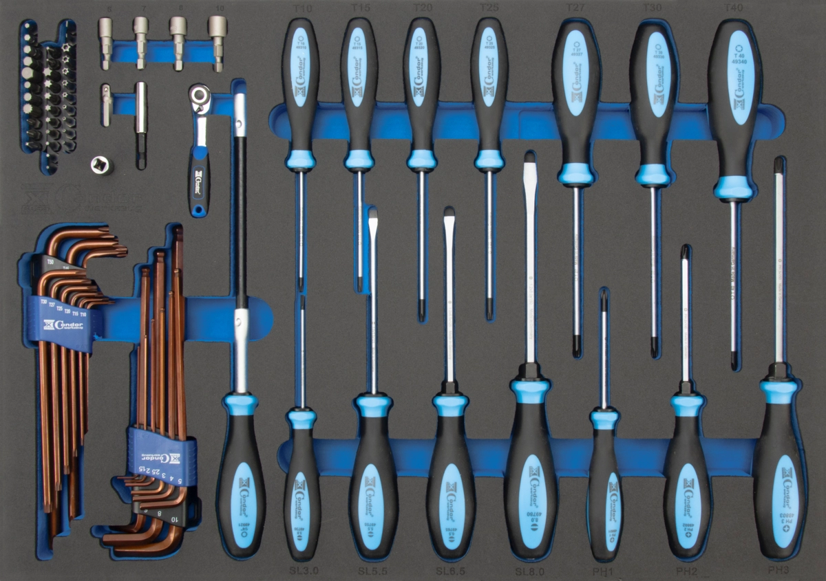 Screwdriver and Key Set in Foam 3/3, xcess performance, 74 pcs.