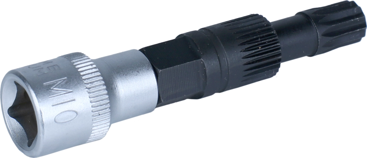 Lichtmaschinen-Einsatz, 3/8", 31 Zahn-Einsatz, Vielzahn M10