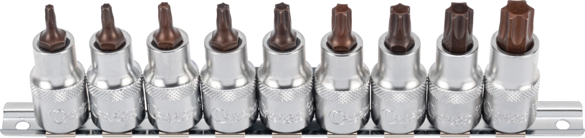Hylsbits xcess performance Torx T20-60 10 del