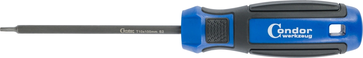 Screwdriver, tx-star T10x100 mm
