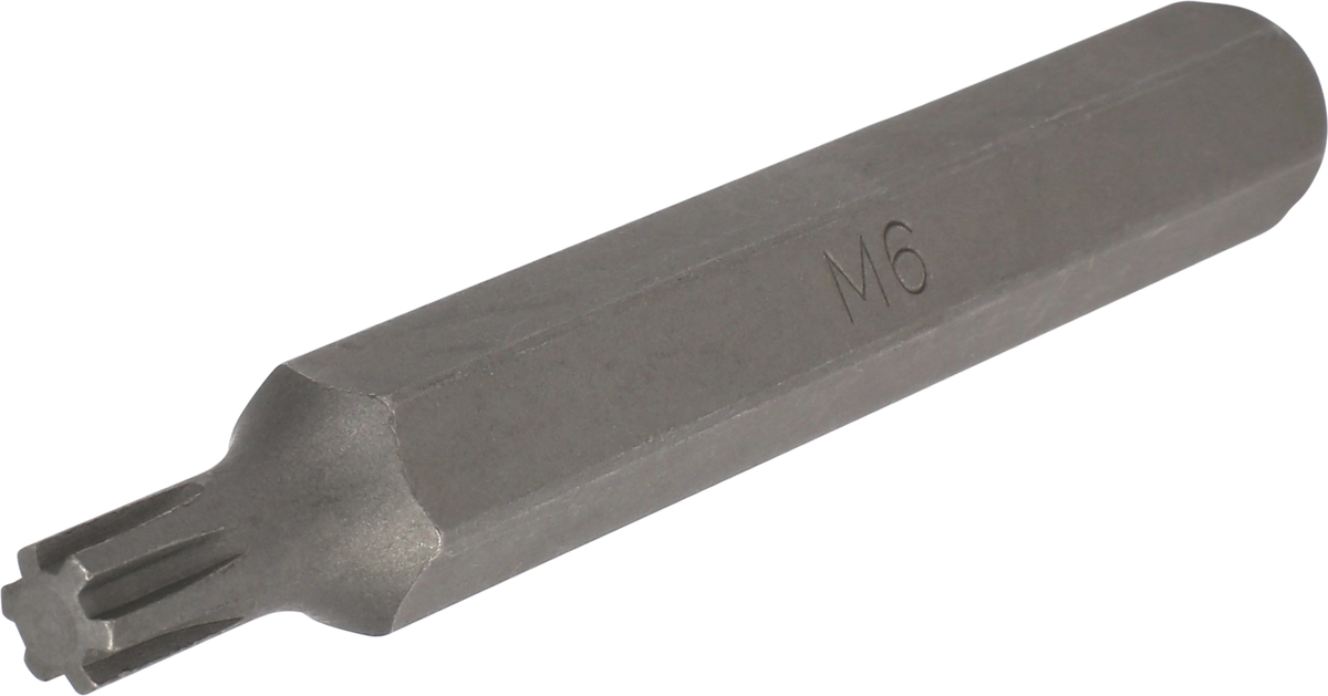Inserto esagono 10 mm profilo Ribe M6x75 mm