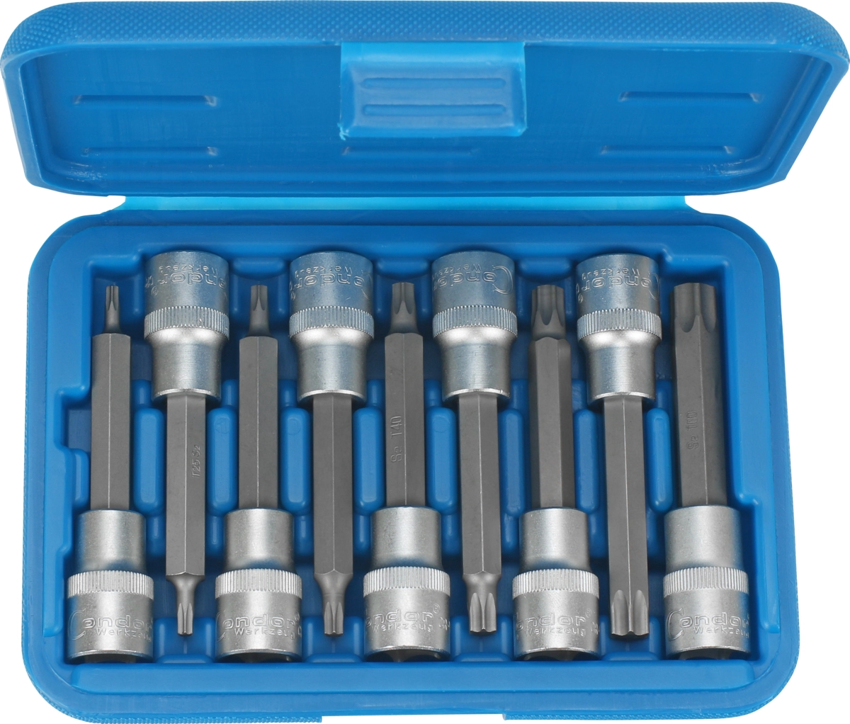 Hylsbits 100 mm torx T20-60 9 del