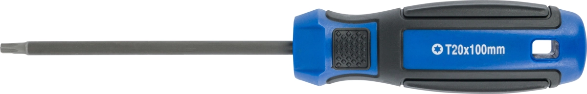 Skruvmejsel, torx T20x100 mm