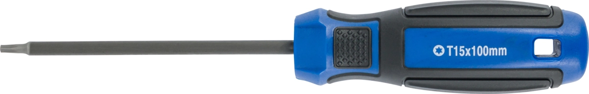 Skruvmejsel, torx T15x100 mm