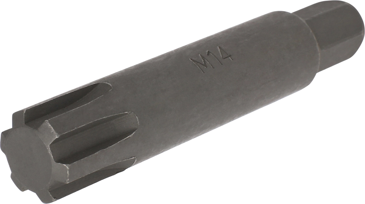Inserto esagono 10 mm profilo Ribe M14x75 mm