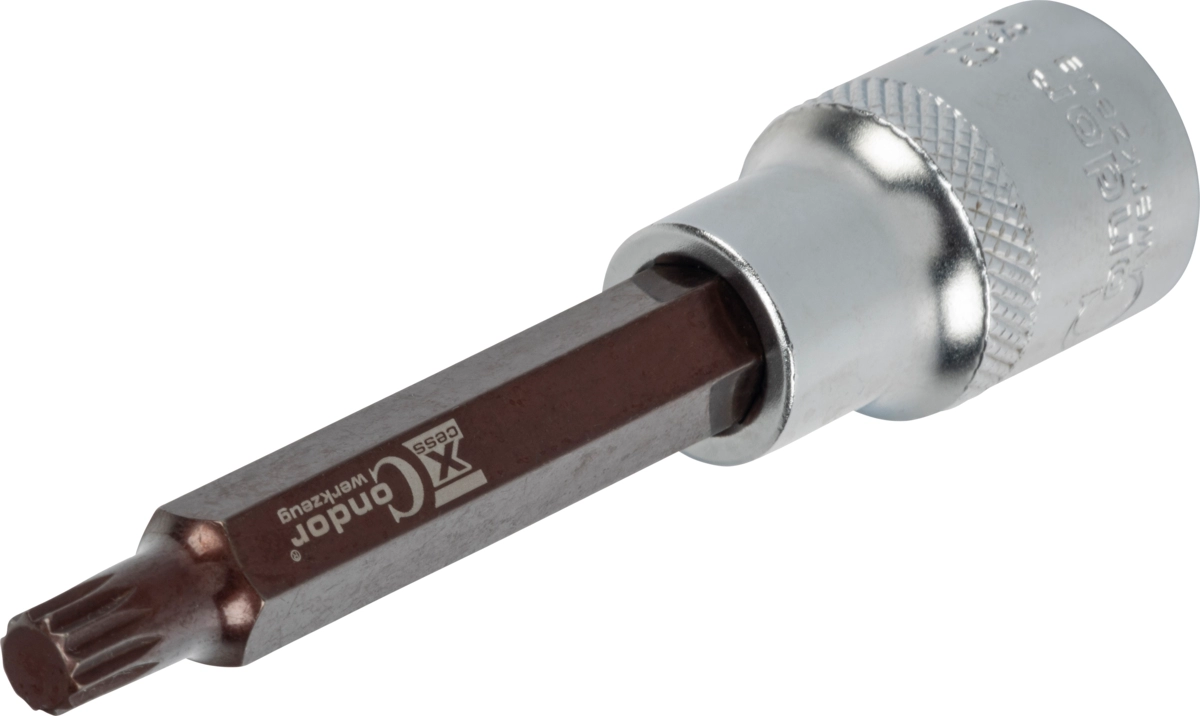 Socket Bit, xcess performance, 1/2", spline M8x100 mm