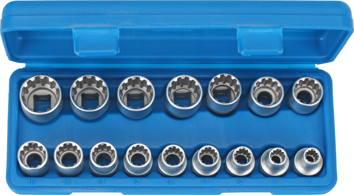 Steckschlüssel-Einsätze, 16-tlg., 1/2", Varioplus 8-24 mm