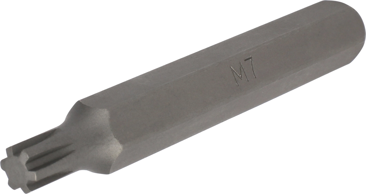 Inserto esagono 10 mm profilo Ribe M7x75 mm