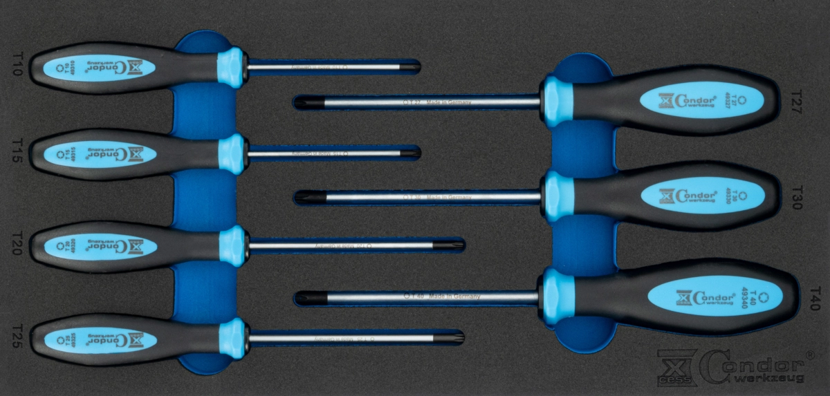 Skruvmejsel Set i Foam 1/3, 7 delar., Torx