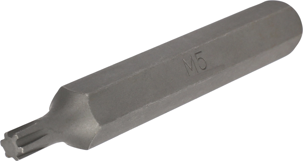 Inserto esagono 10 mm profilo Ribe M5x75 mm