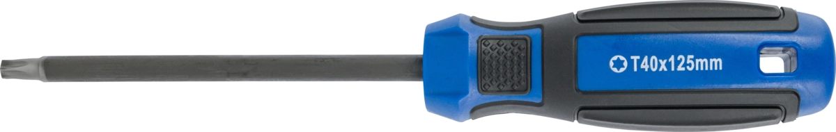 Skruvmejsel, torx T40x125 mm