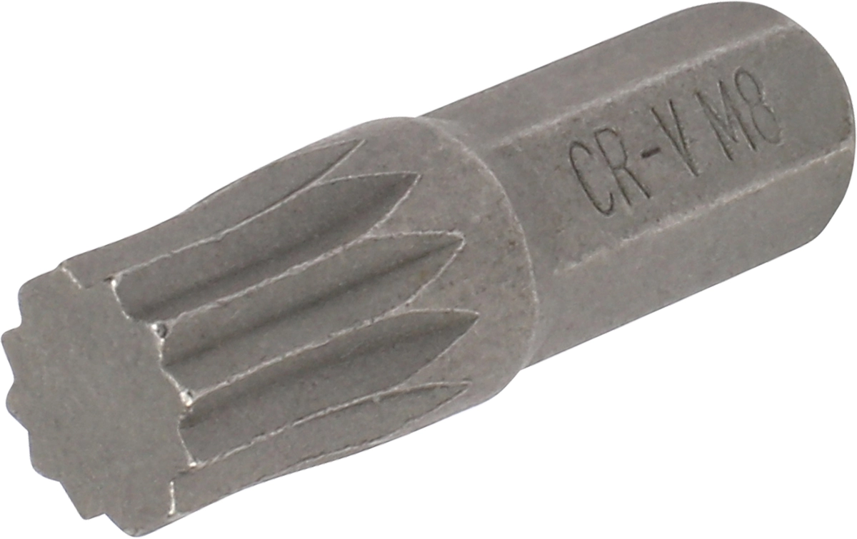 Bit, 1/4" 6-kant, Vielzahn M8x25 mm