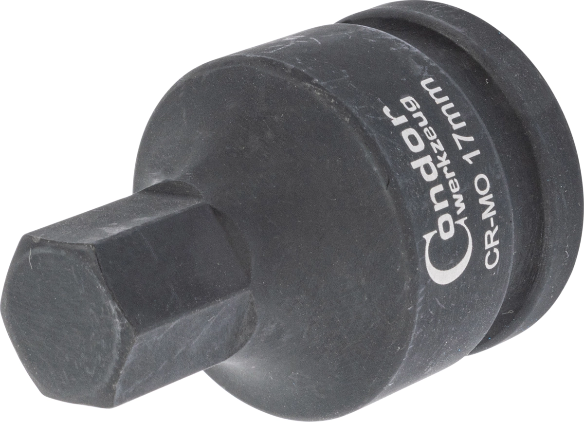 Impact Socket Bit, 3/4", hexagon 17x60 mm