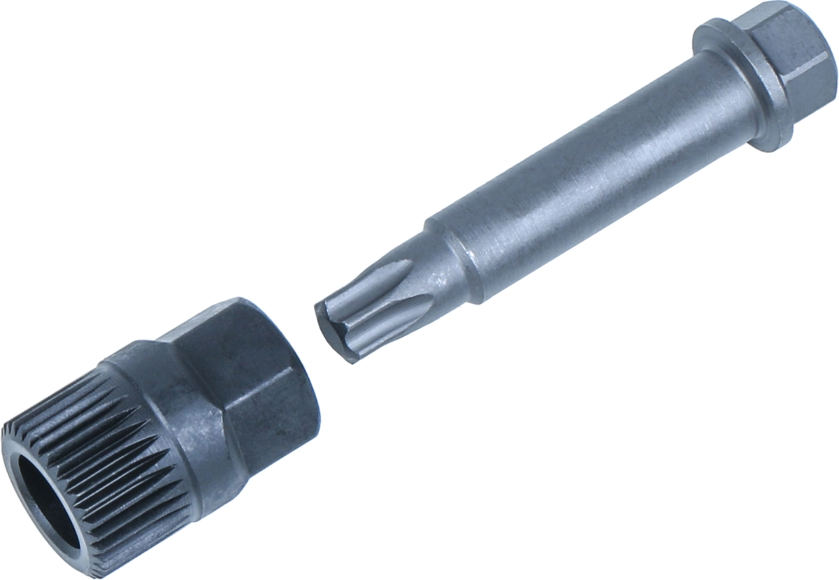 Bussola/inserto esagono mm 12, 33 denti torx T50