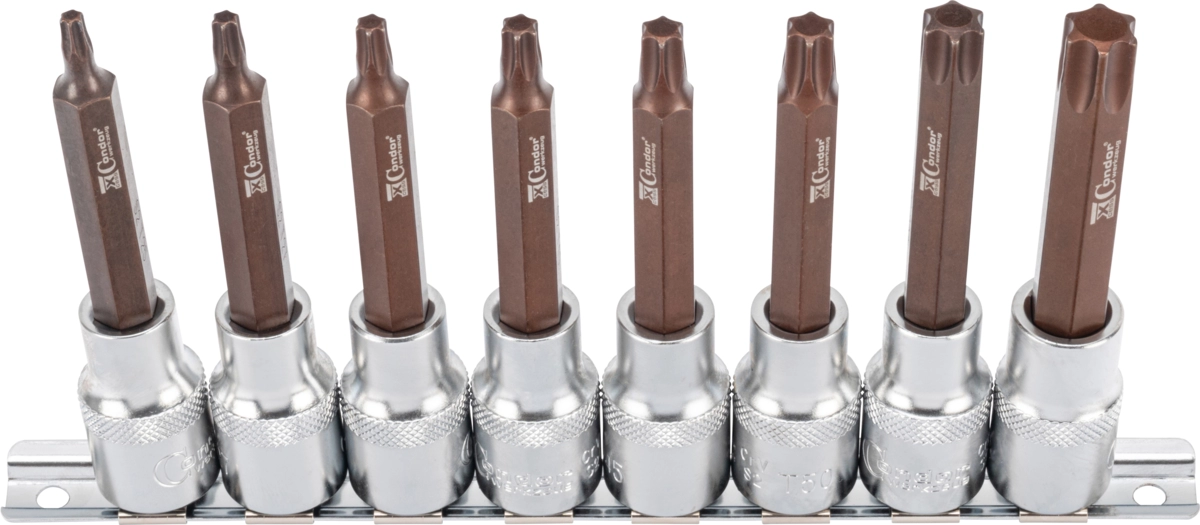 Hylsbits xcess performance Torx T25-60 8 del