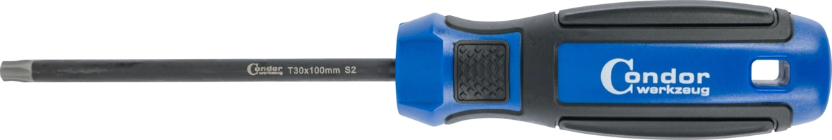 Skruvmejsel, torx T30x100 mm