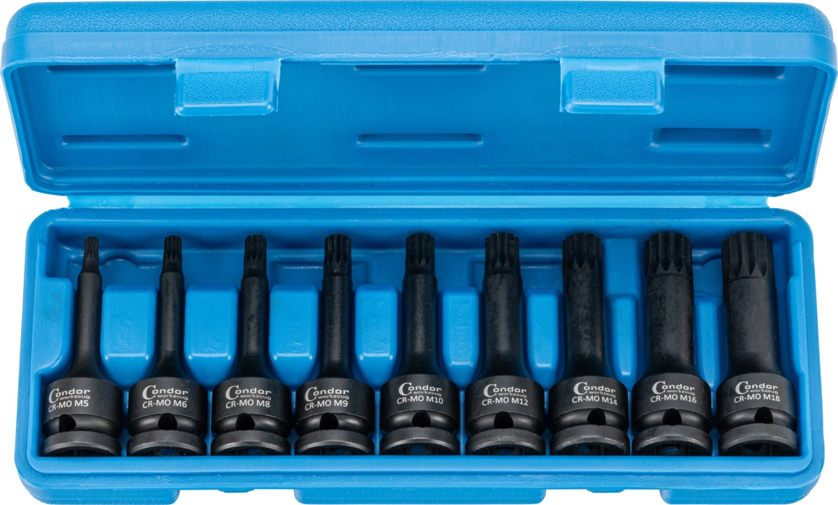 Serie 10 bussole impact con inserto Spline M5-M18